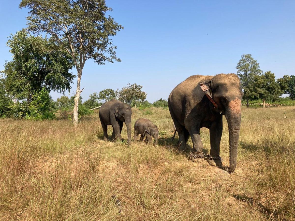 Khajuraho Homestay Eksteriør billede