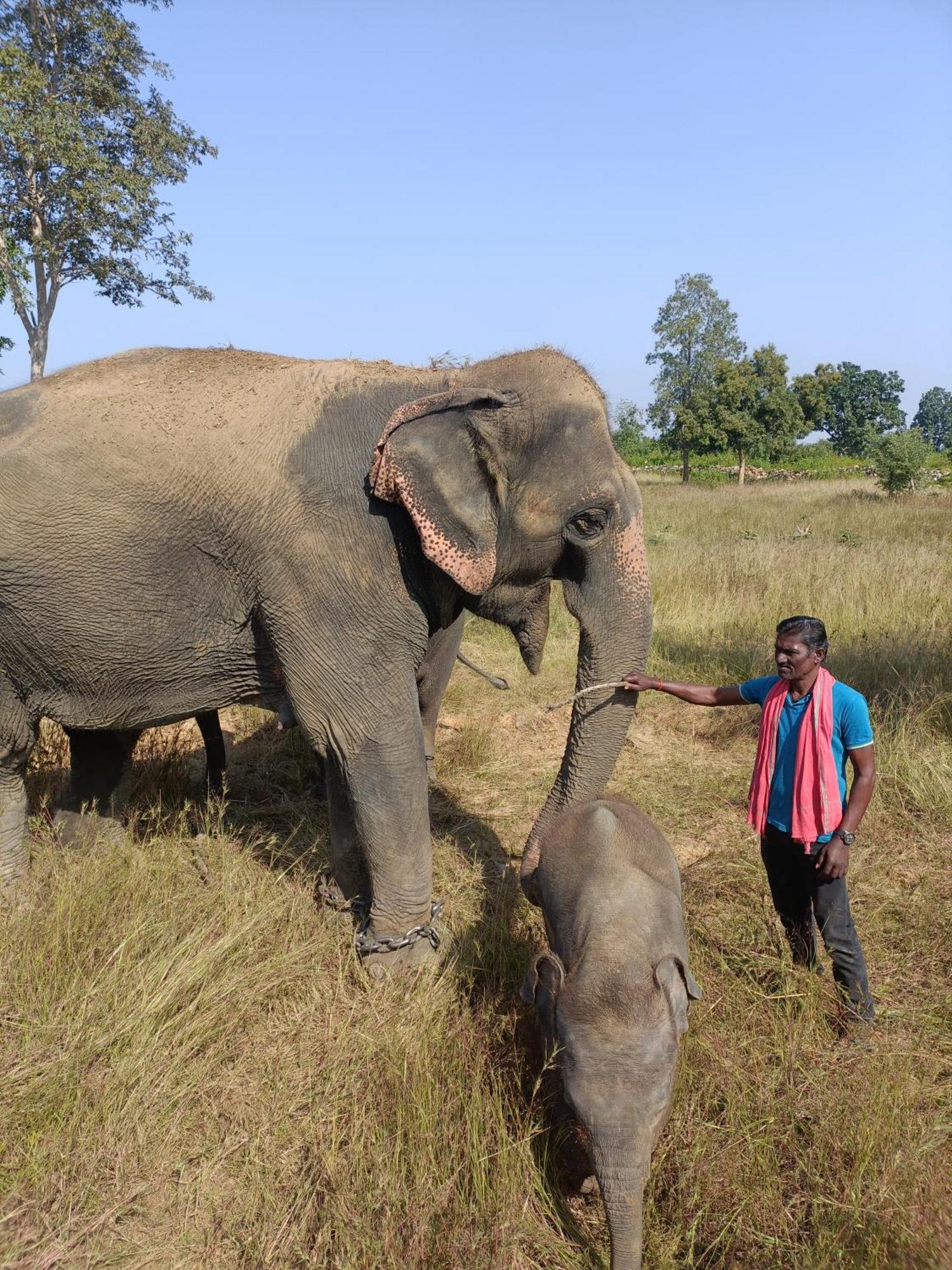 Khajuraho Homestay Værelse billede