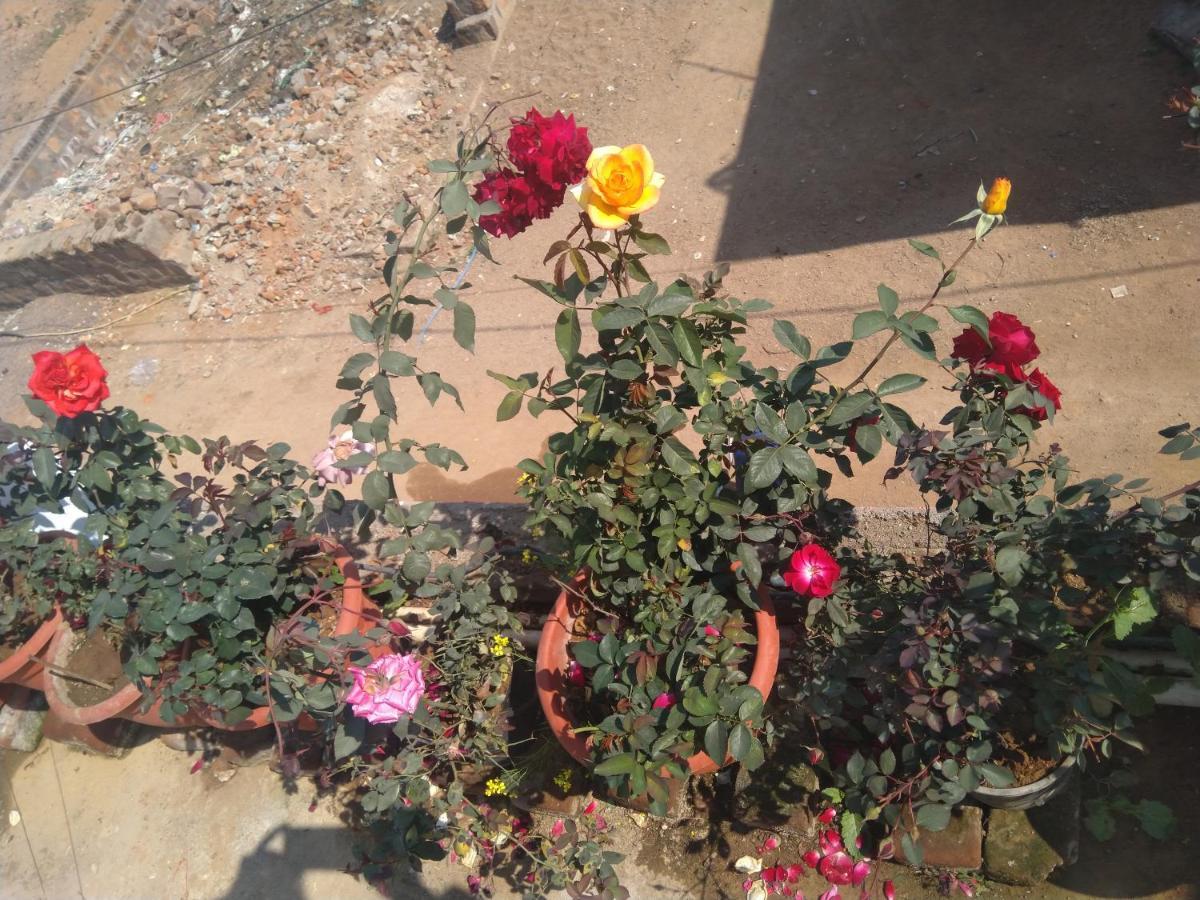 Khajuraho Homestay Eksteriør billede